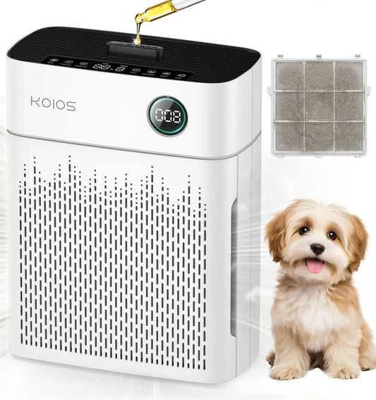 Purificatore d'aria H13, 22 dB, modalità sleep 22 dB, PM2, 5 AQI