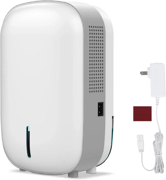 Deumidificatore, portatile, deumidificatore ambiente, Mini deumidificatore portatile per la casa